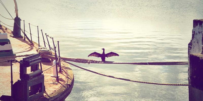 化工产品46：解密这一关键化工原材料在天一达化工的应用与创新