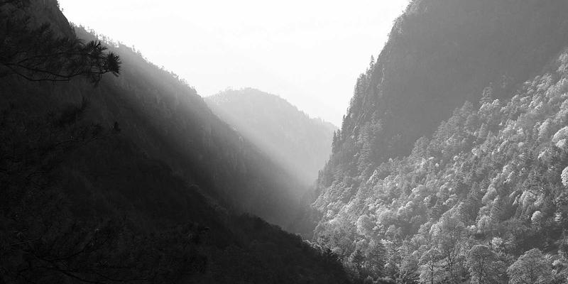 化工产品60：现代工业的核心原料与天一达化工的专业供应解决方案