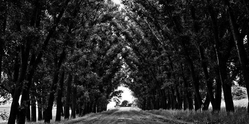 化工产品65：解密这一关键工业原料的特性与应用