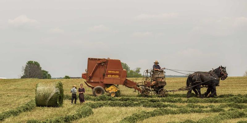 化工产品79：专业化学品供应解决方案与天一达化工的行业实践