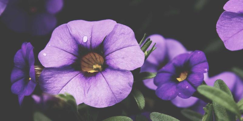 化工产品是什么？从基础概念到产业链解析，以天一达化工为例看化学品供应