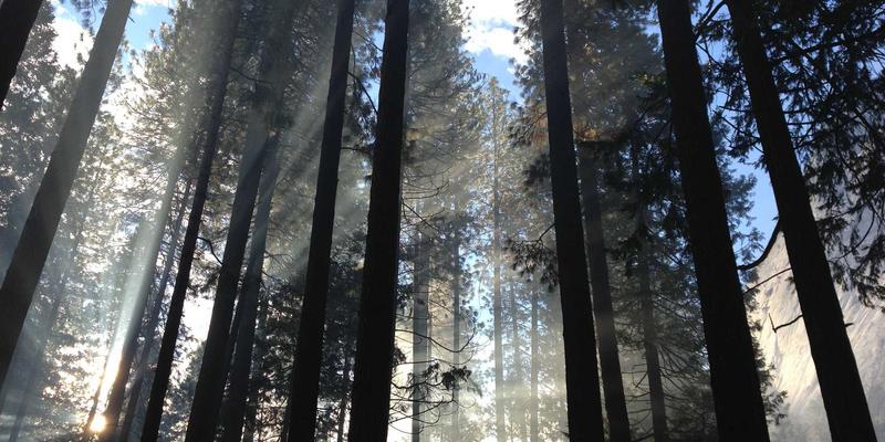 化工产品进阶:从基础原材料到高价值工业原料的产业跃迁