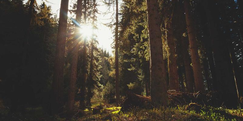 化工供应链金融创新模式：破解中小企业原材料采购资金困局