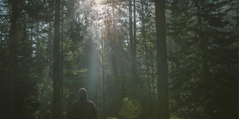 区块链重塑化工供应链金融：如何保障工业原料采购与化学品供应账款安全