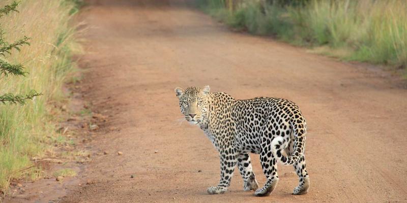 天一达化工：专业工业原料与化学品供应解决方案