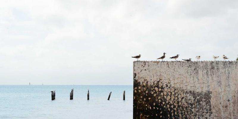 天一达化工：从化学品供应到食品创新，现代食品工业的幕后功臣