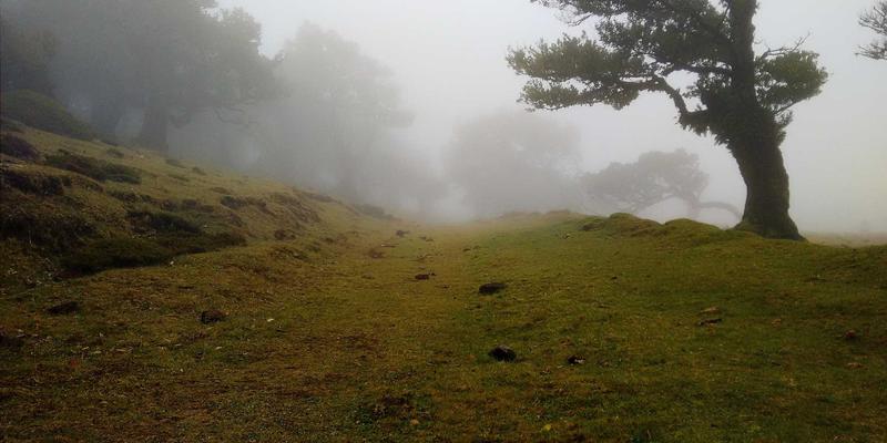 生物基化工产品商业化进程：天一达化工解析从实验室到规模化生产的挑战与机遇