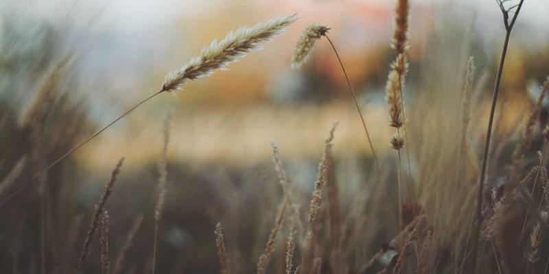 电子特气：半导体制造的隐形血液，国产化工原材料供应如何破局？