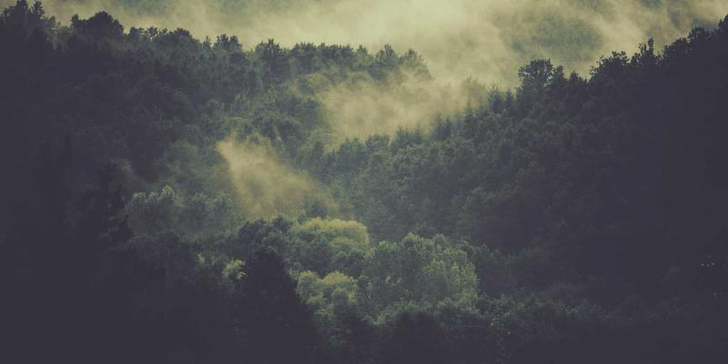 解密高性能纤维：天一达化工解析对位芳纶与碳纤维的生产工艺与应用前沿